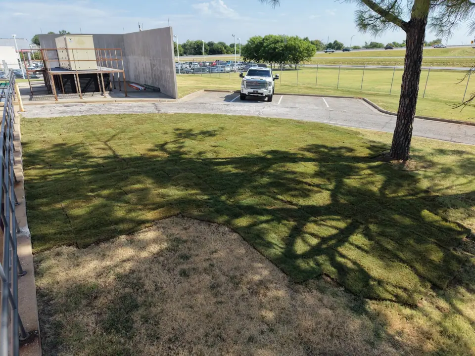 Restored lawn over the former tank location