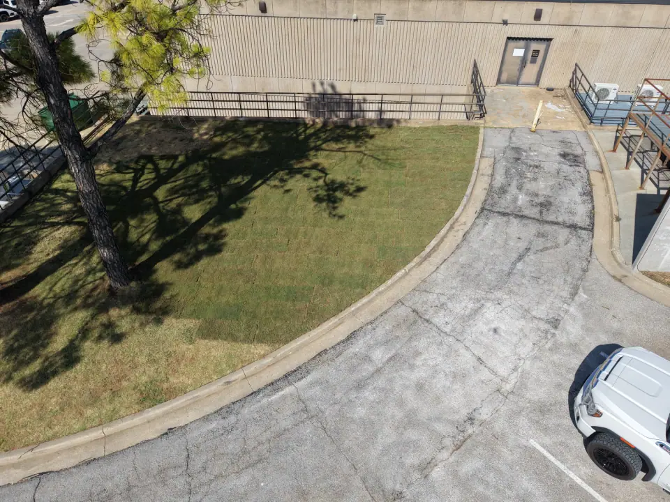 Restored lawn and paved drive after the removal